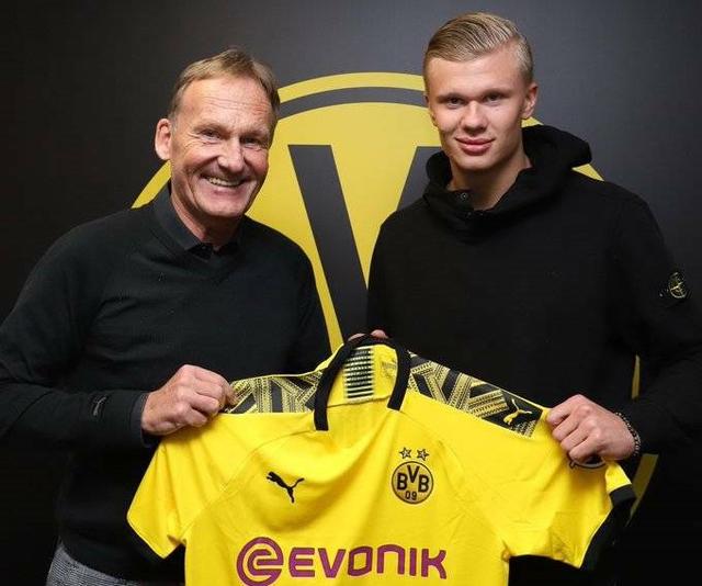 NBL第七轮 石家庄翔蓝主场迎战盐南苏科雄狮